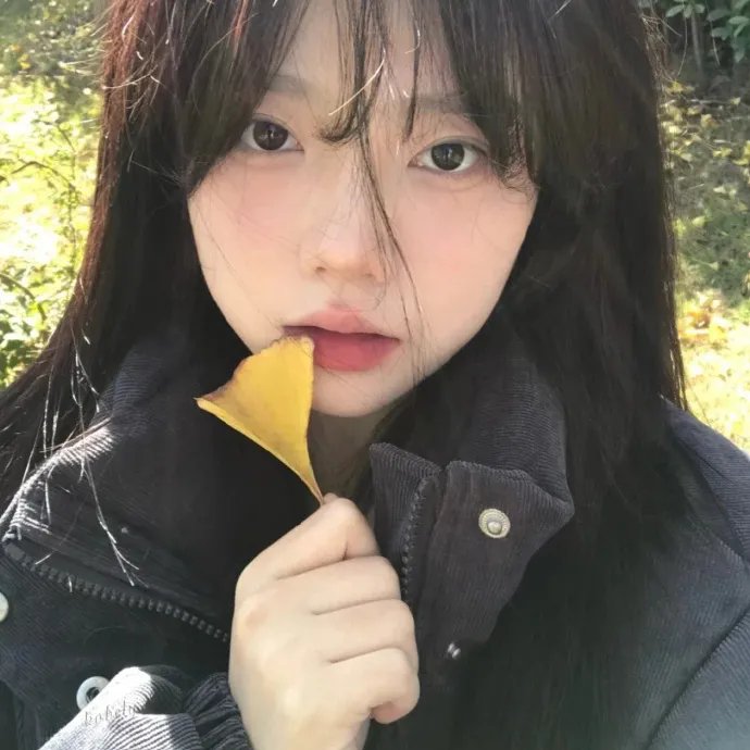 琴茧